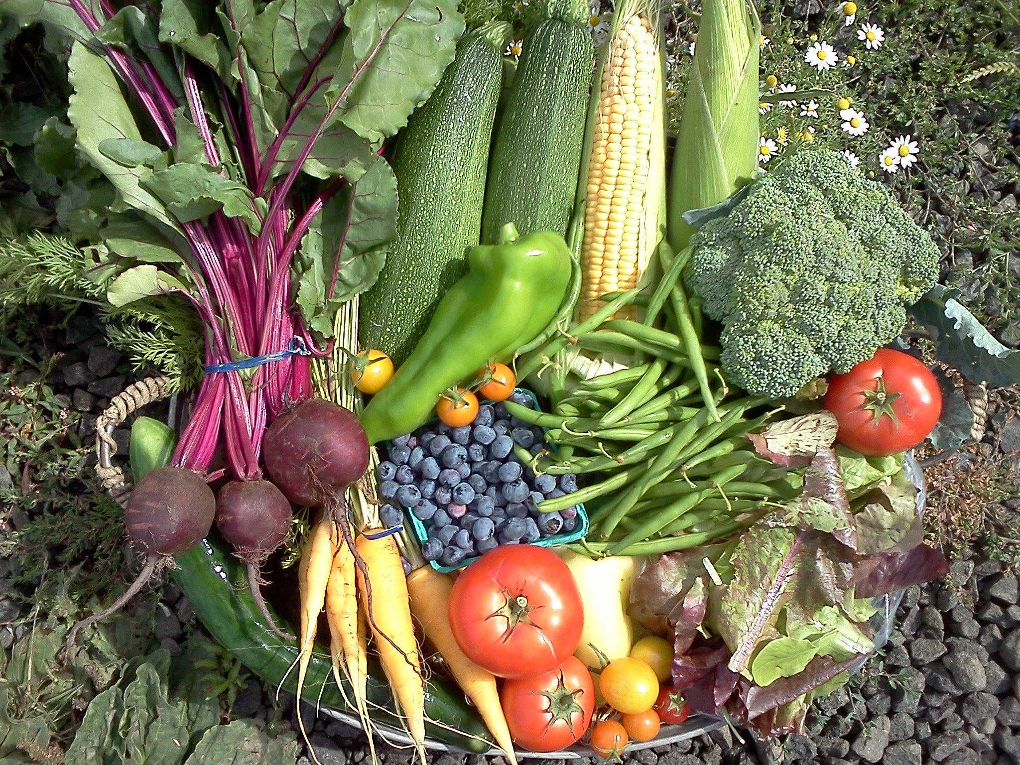 organic vegetables and fruit