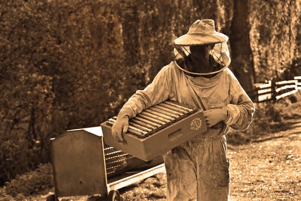 beekeeping suit